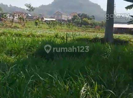 Tanah 30.000 M2 di Kota Batu, View Pegunungan Gmk03114 1