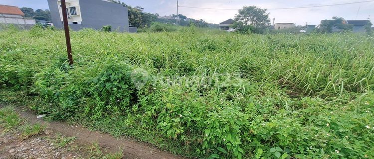 Di Jual Tanah Premium Murah Sendangmulyo Dekat Unimus 1