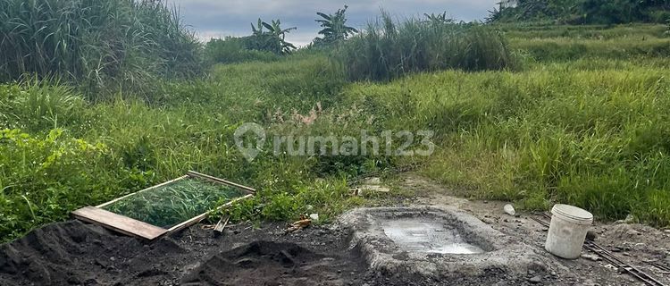 Di Jual Tanah Premium Murah di Sendangmulyo Dekat Unimus 1