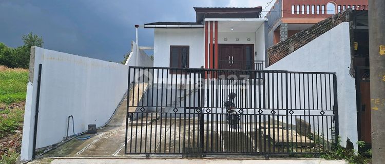 For Sale Beautiful Move-In Ready House In Jangli Near Undip 1