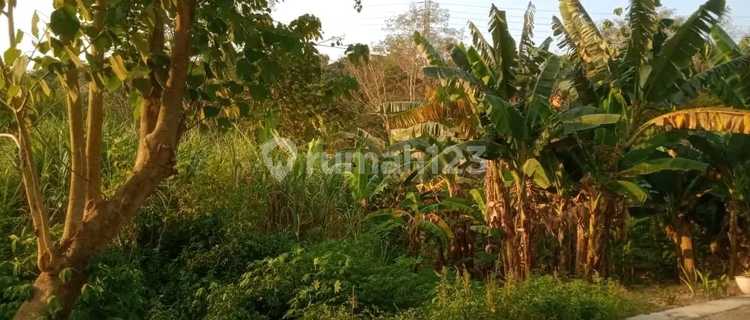 Di Jual Tanah Premium Di Manyaran Dekat Bandara 1