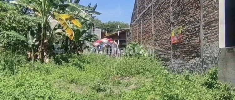 Di Jual Tanah Premium Di Amposari Gemah Dekat Unimus 1