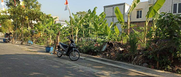 DI JUAL TANAH PREMIUM DI TEMBALANG DEKAT UNDIP 1