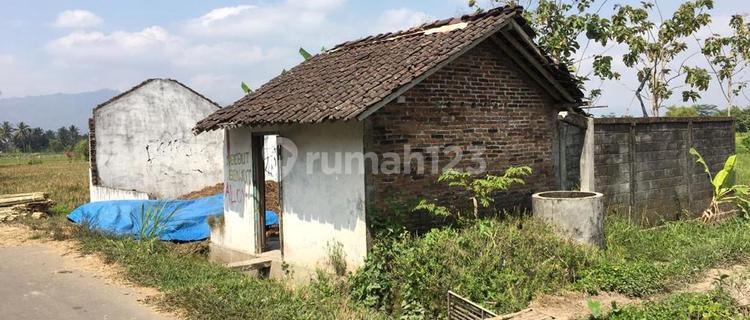 Dijual cepat tanah SHM sawah harga murah di mungkid Magelang dekat candi Borobudur  1