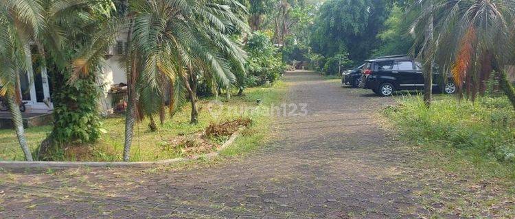 DIJUAL TANAH BAGUS DAN COCOK PROPERTY DAN USAHA 1