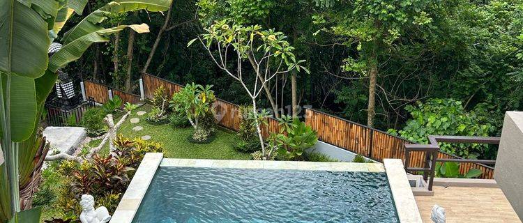 Villa Badung Bali Penarungan Bisa Nego View Sungai 1