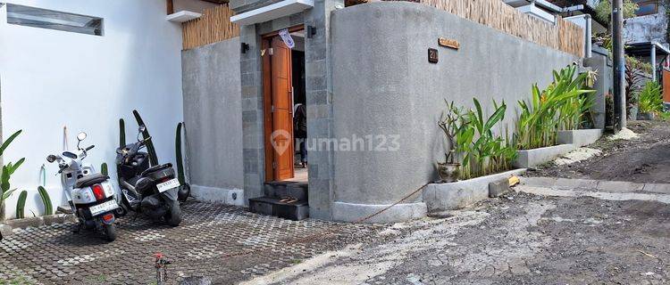 New Villa with 2 Bedrooms in Tumbak Bayuh close to Canggu 1