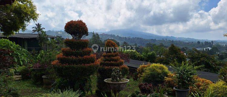 Tanah View Cantik Alam Sejuk Di Jln Bedugul Baturiti Tabanan Bali 1