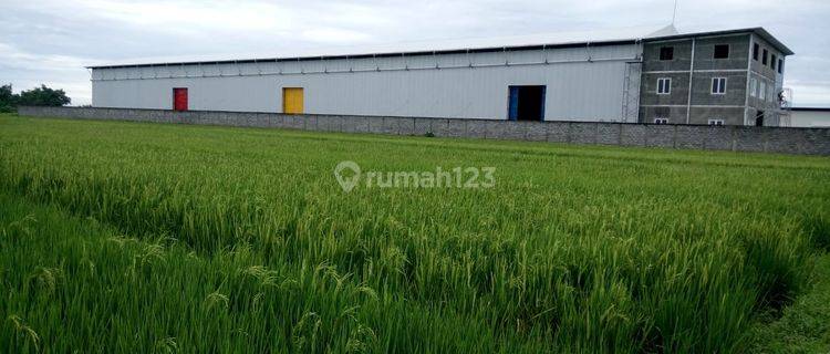 Dijual Bekas Pabrik di Dlanggu Mojokerto T D 1