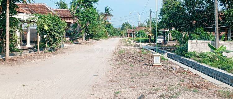 Erep Jalan Desa Ngunut Babadan Ponorogo 1