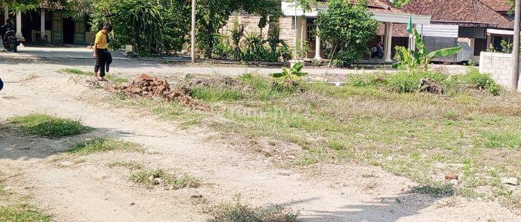 Tanah Pekarangan Suasana Pedesaan Khas Ponorogo 1