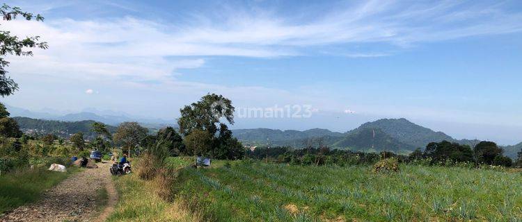 Cepat Tanah Murah Strategis 2,7km Ke Jalan Raya Nasional Puncak 1