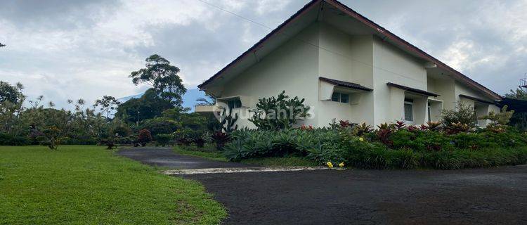 Villa Terawat Murah Di Bawah Njop Hook Di Coolibah Puncak 1