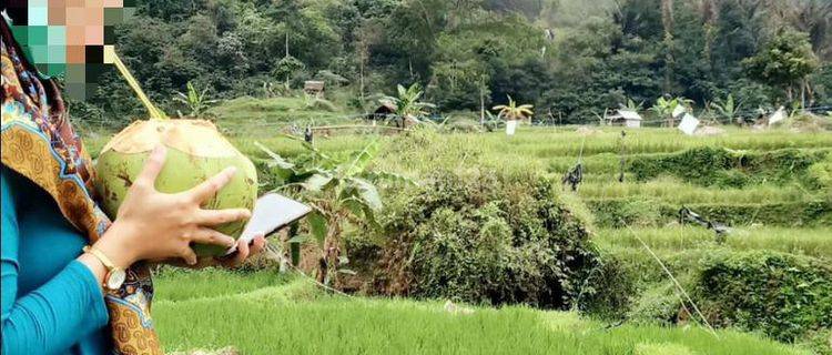 Viral Tanah Murah Di Lokasi Abah Jajang Curug Citambur Cianjur 1