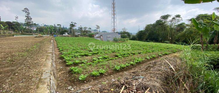 Cepat Tanah Murah Pemandangan Bagus Lokasi Strategis di Puncak 1