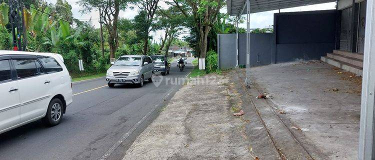 Tanah di Jalan Raya Denpasar Singaraja, Tabanan SHM 1.500 m² 1