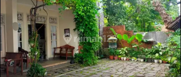 Rumah Asri Tengah Kota di Jl Mugas Barat Mugassari Semarang Selatan 1