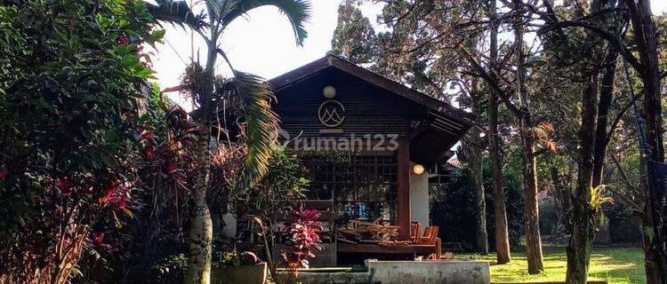 Disewa Tanah Bangunan Vintage Japanese Siap Pakai Lokasi di Tubagus Ismail Bandung 1