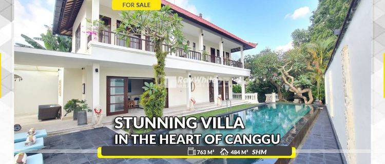 Stunning Freehold Villa in The Heart Of Canggu 1