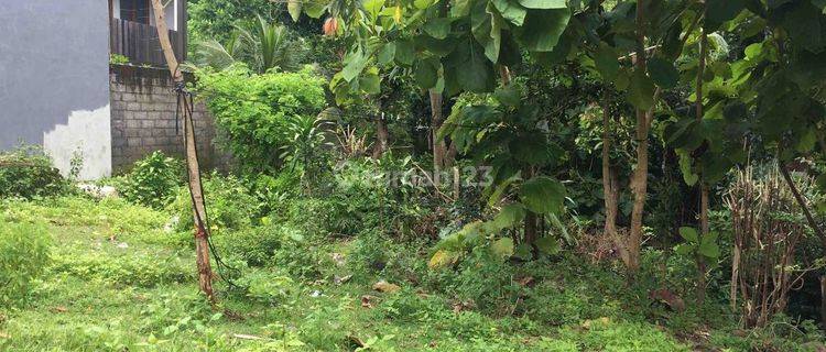 Freehold Ocean-view Land For Sale In Balangan. 1