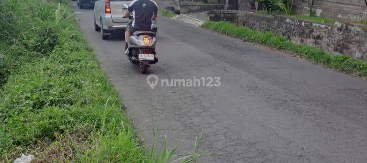 Leasehold Land For Rent In Sebatu, Ubud 1