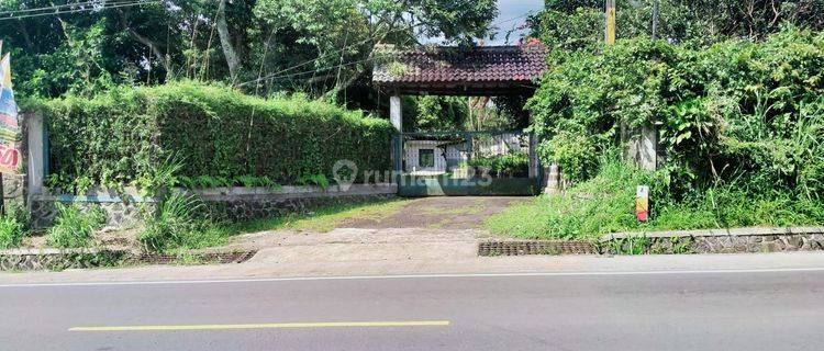 Dijual Cepat Tanah di Jalan Raya Sukabumi Cibadak 3,9 Hectare 1