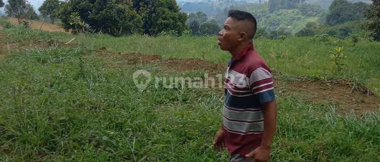 Tanah murah rata sangat strategis view the best  1