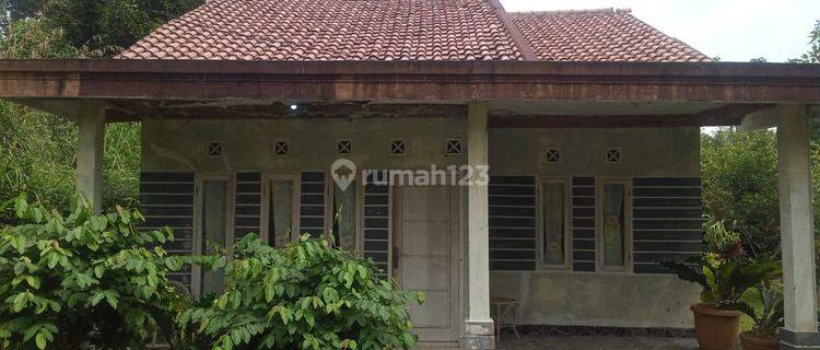 Tanah flus rumah kebun sangat strategis banget dileuwiliang  1