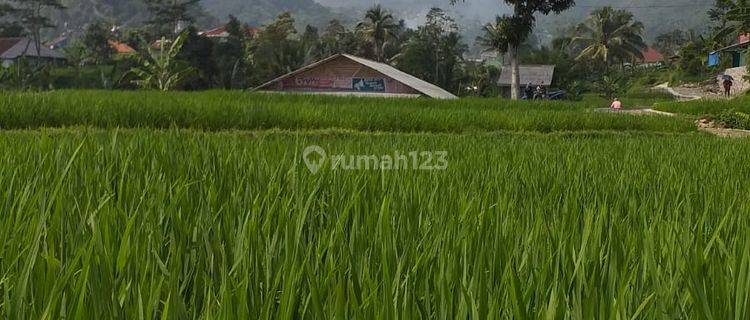 Tanah sawah+murah nempel kali sungai sangat strategis view lepas  1