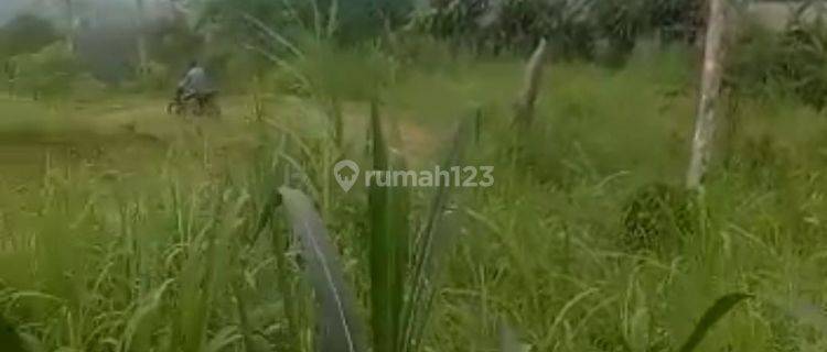 Dijual tanah murah 100ha sudah ada bangunan view bagus ke gunung 1