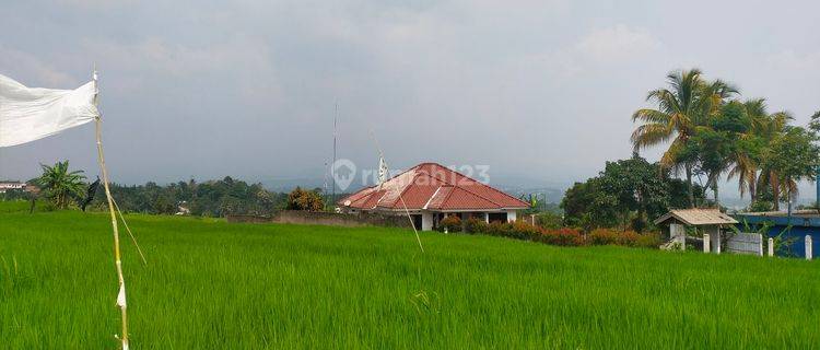 Tanah subur sawah murah sangat strategis view lepas kota+gunung 1