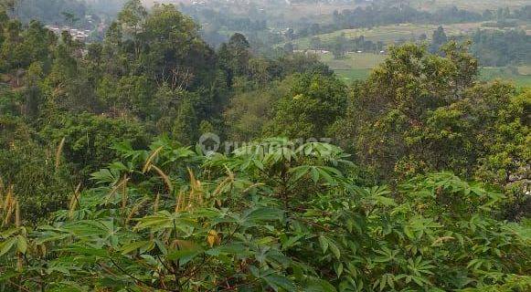 Tanah murah nempel jalan untuk rumah+villa sangat strategis 1