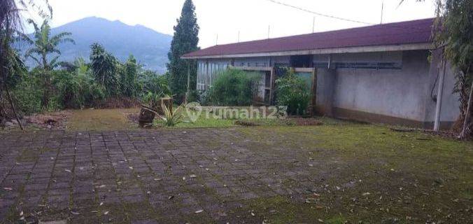 Tanah produktif kebun durian+villa siap huni strategis full view  1