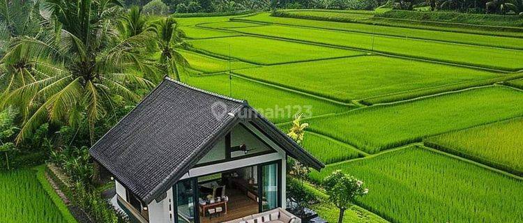 Tanah sawah untuk villa+Rumah sangat strategis view lepas gunung 1