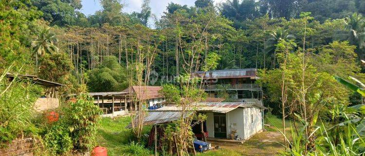 Dijual Peternakan Ayam Telur Dan Sapi Perah 2,8 H Area Cianjur 1