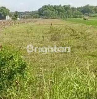 Tanah 1,3 hektar.Di jalan raya Madigondo.Madiun 1