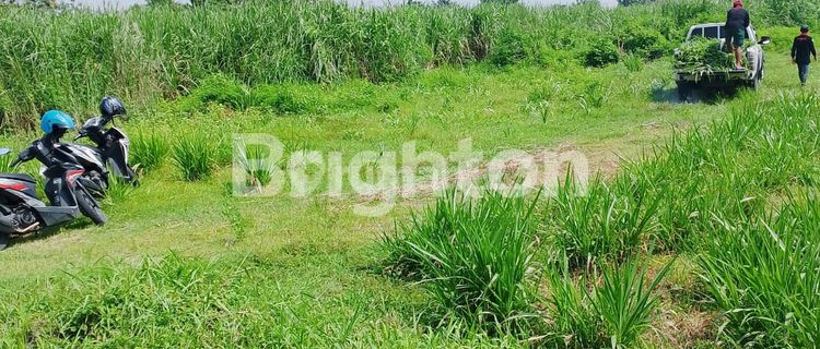 Dijual tanah kering di Tulangan 1