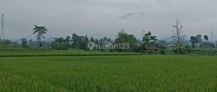 Kavling Tanah Luas Murah Di Ciparay Bandung 1