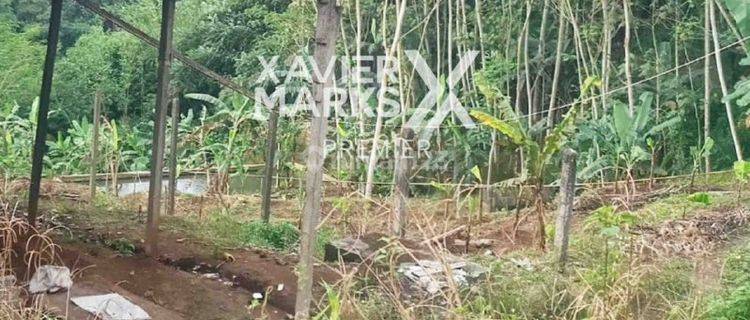 Tanah Lahan Peternakan di Cempokomulyo Kepanjen Malang  1