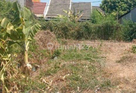 Sebidang Tanah Sudah Diurug Siap Bangun di jl Medokan ayu Rungkut Surabaya , Surabaya Kota SHM - Sertifikat Hak Milik 172.2 m² 1