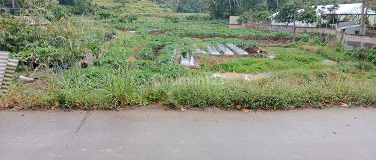 Tanah Perbatasan Waringinkurung Cikerai Cilegon 1