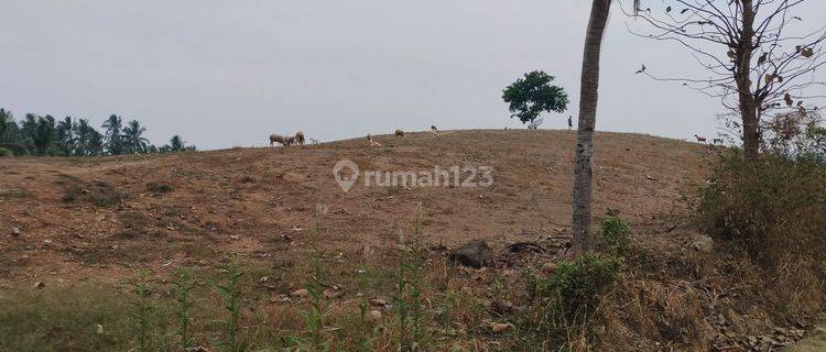 Tanah di gunung batu cocok untuk quarry SHM 1