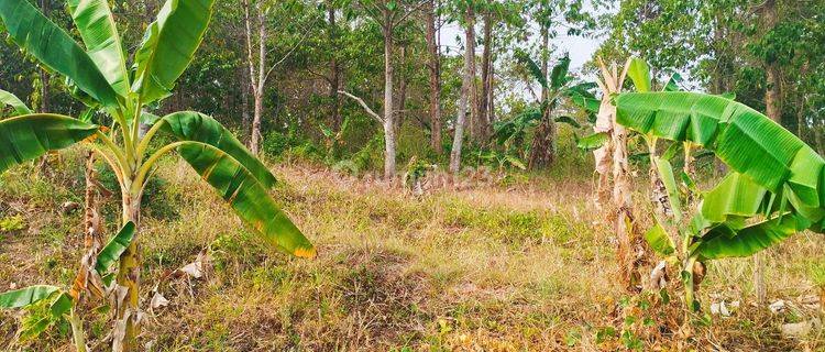 Tanah di Desa munjuk sempurna dekat tol SHM 1