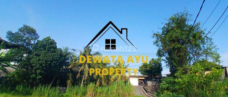 LAHAN 98 ARE VIEW SAWAH COCOK UNTUK PERUMAHAN LOKASI GIANYAR 1
