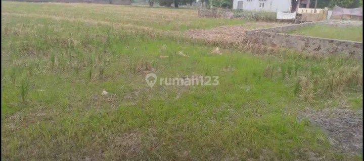 Tanah Cibeber Dekat Terminal Seruni Belakang Bintang Laguna Cilegon 1