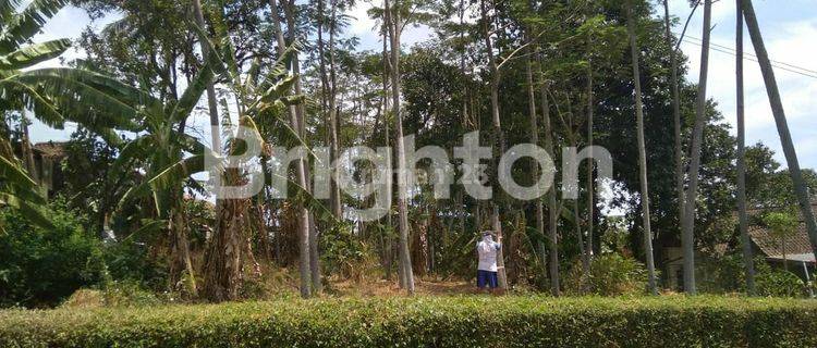 VENDOR BUTUH CEPAT LAKU AGENTNYA BU  KAVLING STRTEGIS SIAP BANGUN 0 JALAN PRINGAPUS UNGARAN 1