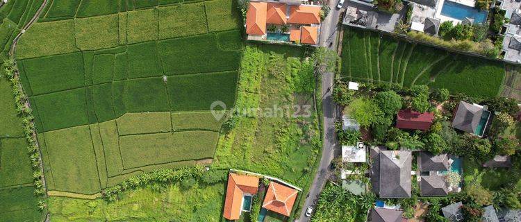 Land Wiht Rice Fiel View For Leasehold In Tumbak Bayuh Jl Veteran 1