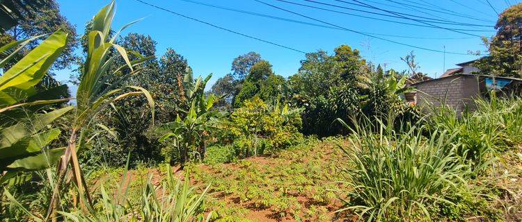 Tanah Lokasi Di Pinggir Jalan Ciambar Sukabumi 1