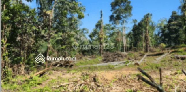 di Jl. Subak Piak Desa Wangaya Gede, Kecamatan Penebel Tabanan, Tabanan 1