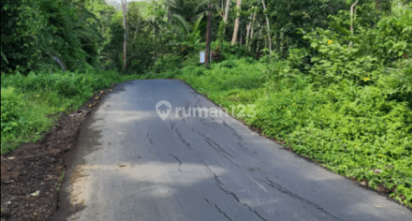 Tanah di Jalan Raya Cebok Tegallalang Ubud Gianyar Bali Ubud, Gianyar
, Gianyar 1